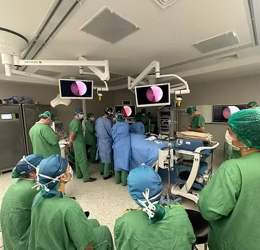 Equipe em laboratório cirúrgico acompanhando a imagem do endoscópio nos monitores